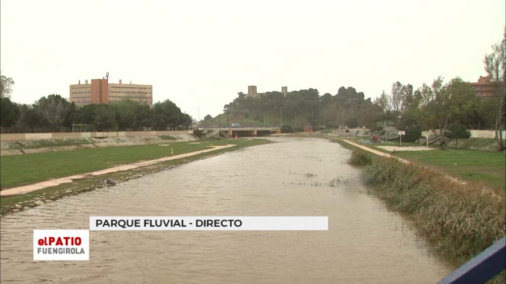 Lee más sobre el artículo Pendientes de un cielo gris