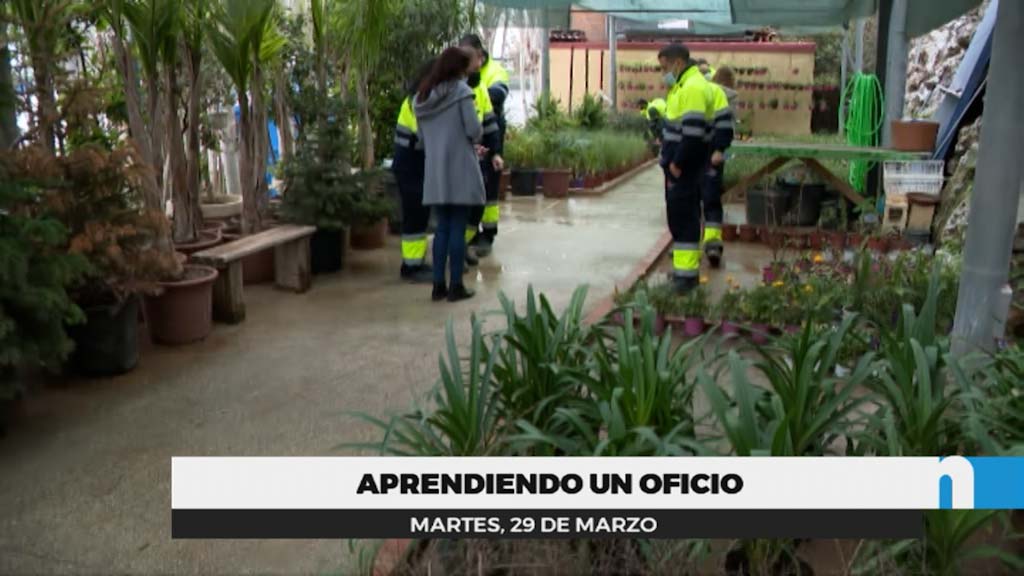 Lee más sobre el artículo Los alumnos de jardinería hacen prácticas con los operarios municipales