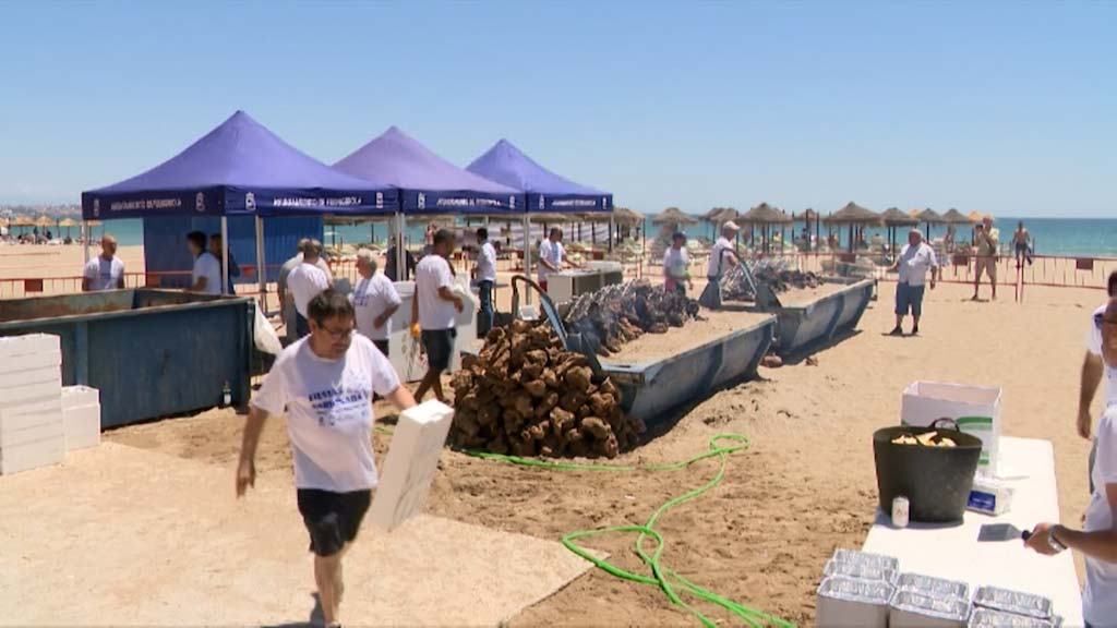 Lee más sobre el artículo La playa de Los Boliches acoge la sardinada solidaria