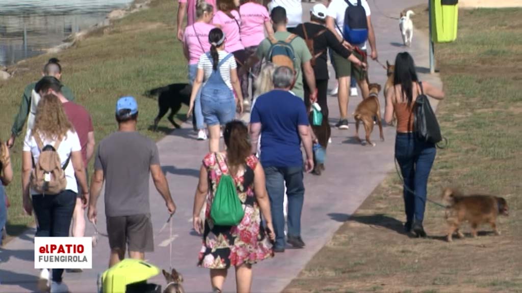 Lee más sobre el artículo Fuengirola, pet friendly