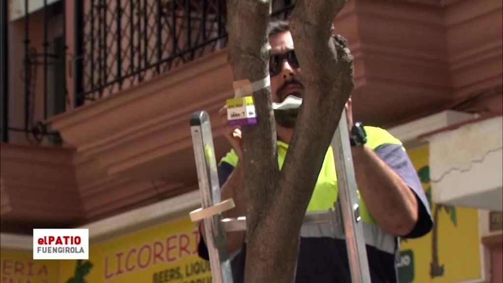 Lee más sobre el artículo Bonitas y sin manchar