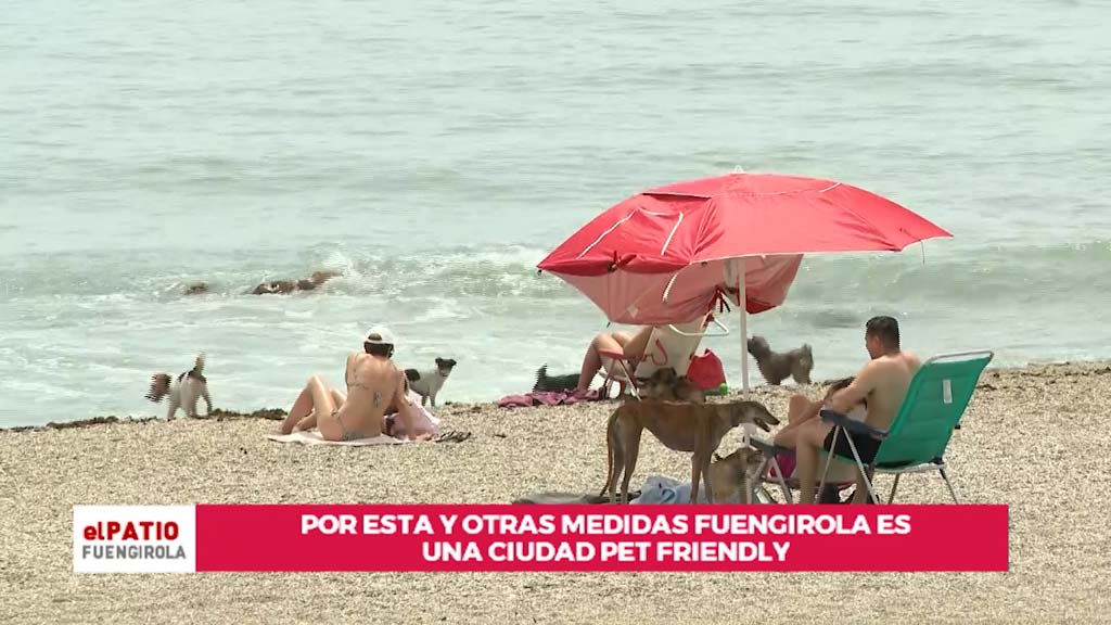 Lee más sobre el artículo Somos pet friendly