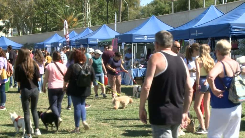 Lee más sobre el artículo El Día del Perro regresará el próximo domingo