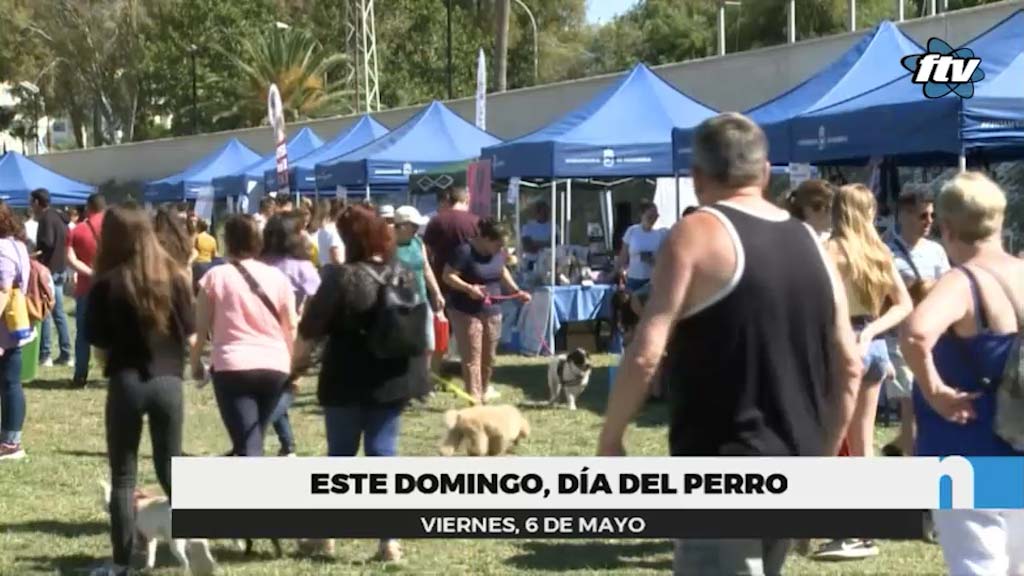 Lee más sobre el artículo El domingo, Día del Perro