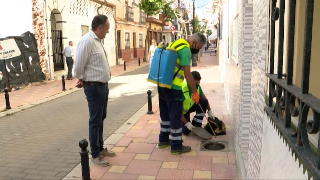 Lee más sobre el artículo El Ayuntamiento comienza una nueva campaña de desinsectación