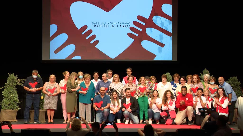 Lee más sobre el artículo Voluntarios por una sociedad mejor