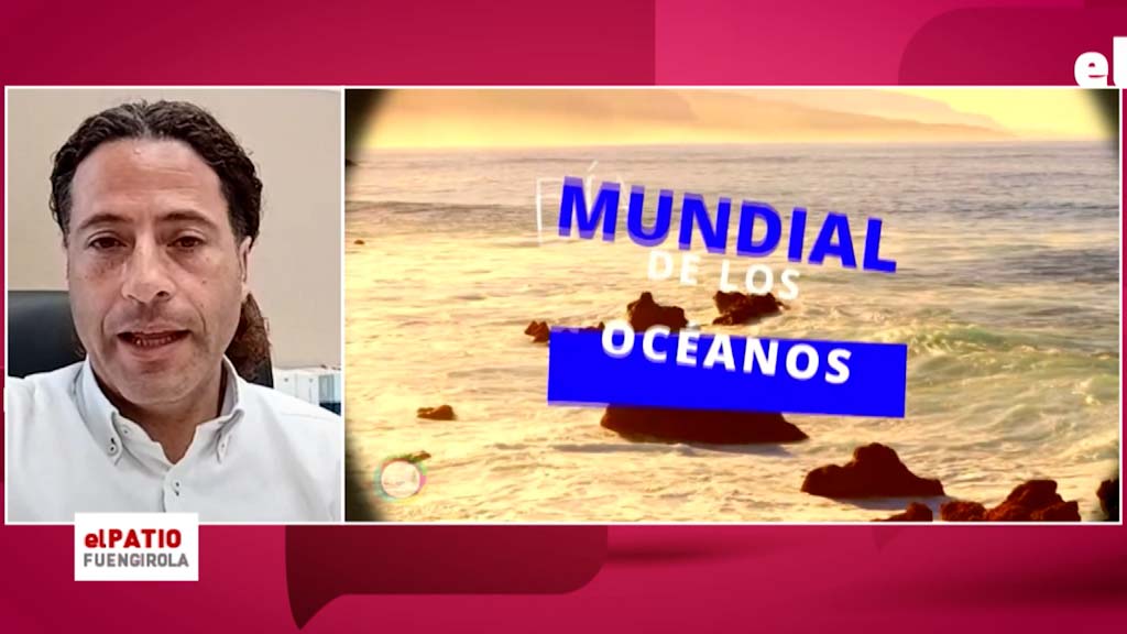 Lee más sobre el artículo Día mundial de los océanos