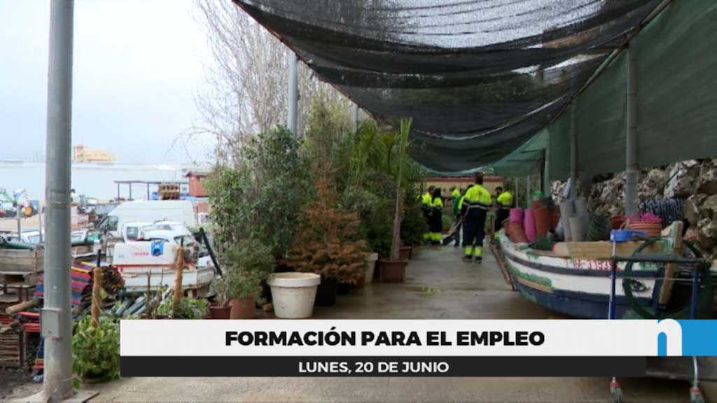 Lee más sobre el artículo Logran el 55% de inserción laboral en el ‘Fuengirola Forma’