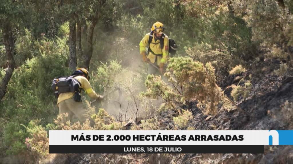 Lee más sobre el artículo Estabilizado y controlado el Incendio de la Sierra de Mijas