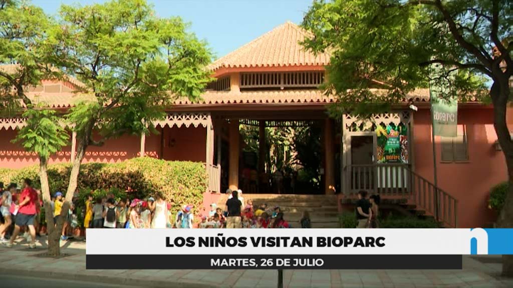 Lee más sobre el artículo La Escuela Municipal de Verano visita Bioparc Fuengirola