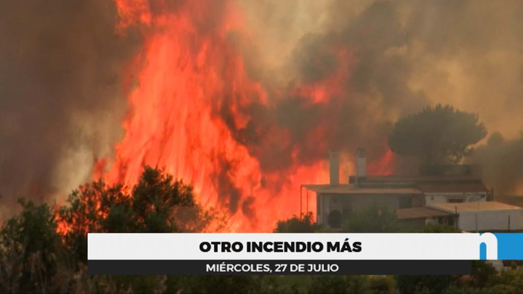 Lee más sobre el artículo Labores de liquidación del último incendio forestal en Mijas