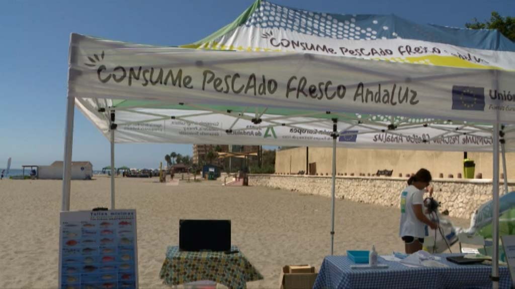 Lee más sobre el artículo La playa del Castillo ha acogido durante todo el día de hoy una campaña de sensibilización pesquera