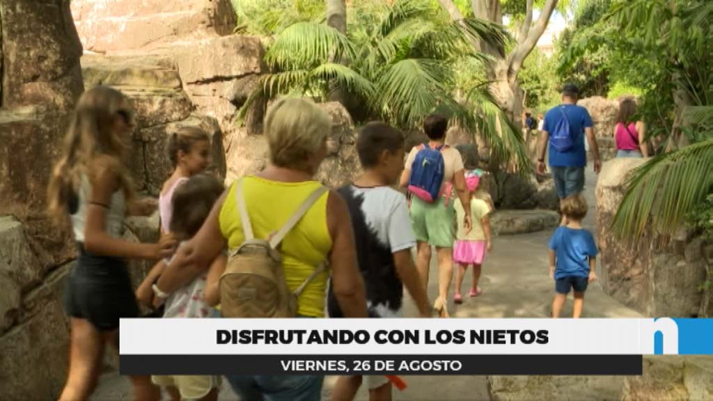 Lee más sobre el artículo Un centenar de mayores visita Bioparc con sus nietos gratuitamente