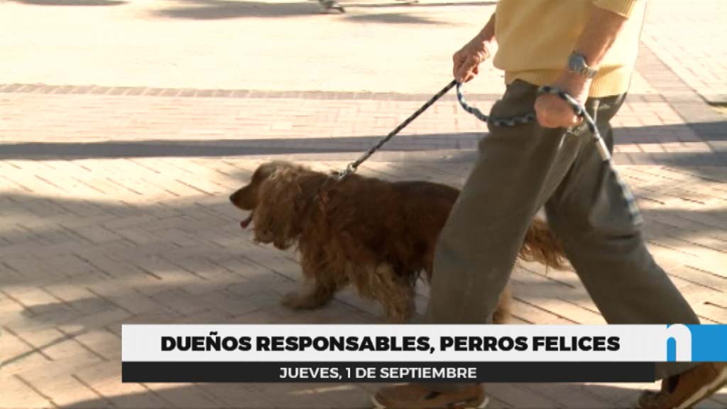 Lee más sobre el artículo Botellas para diluir la orina de los perros