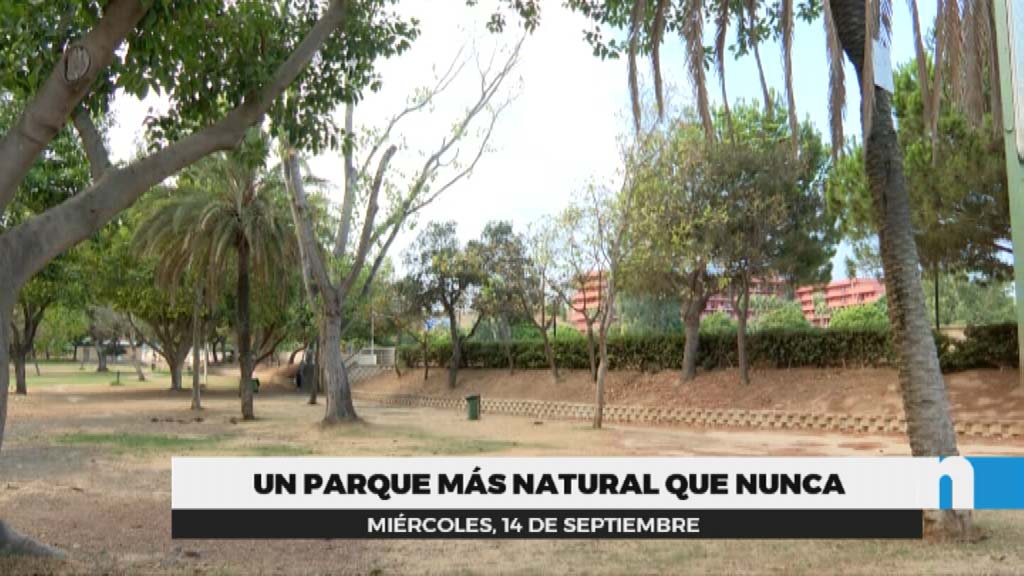 Lee más sobre el artículo El Ayuntamiento convertirá el Parque Natural en una gran zona de esparcimiento