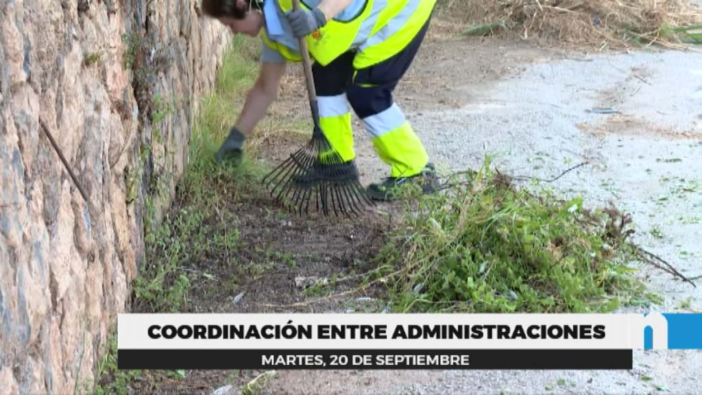 Lee más sobre el artículo 18 fuengiroleños desempleados forman parte del Plan de Empleo Agrario de la Junta