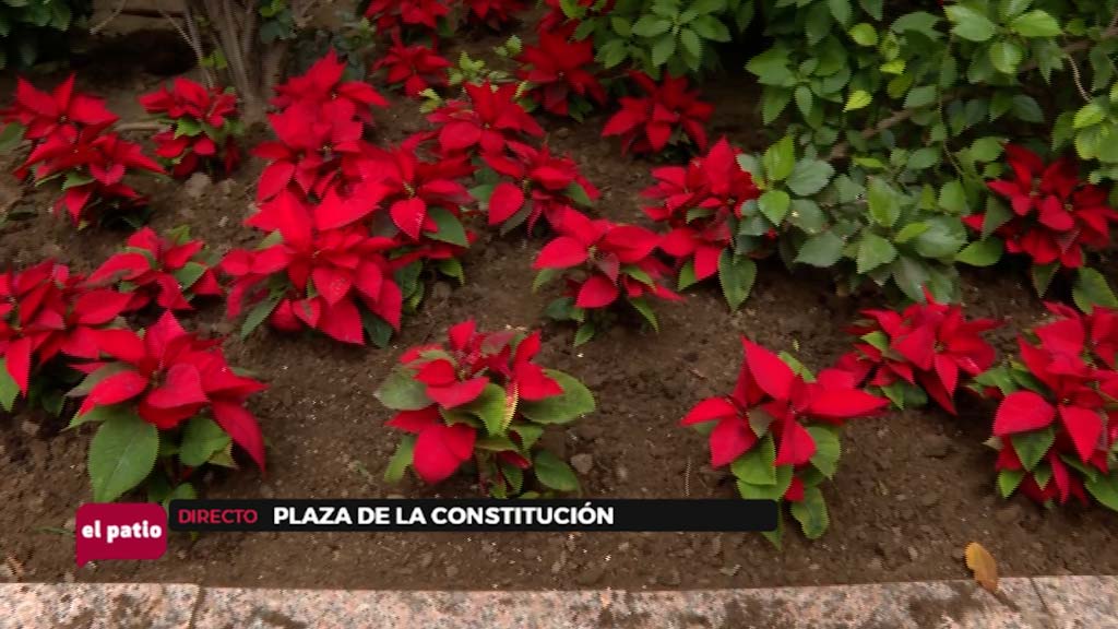 Lee más sobre el artículo Fuengirola se viste de Navidad