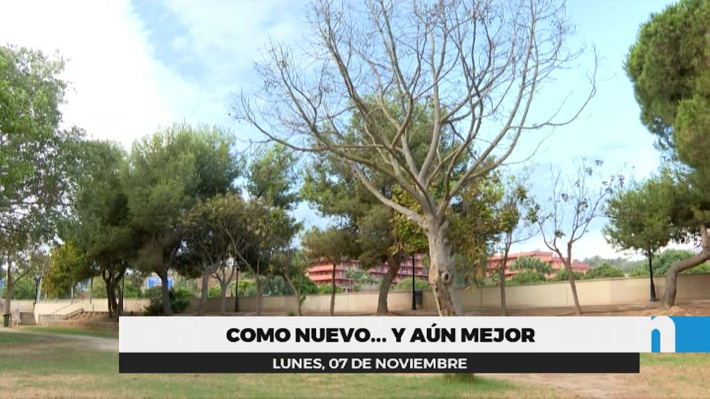 Lee más sobre el artículo El Ayuntamiento comenzará la próxima semana la renovación del Parque Natural