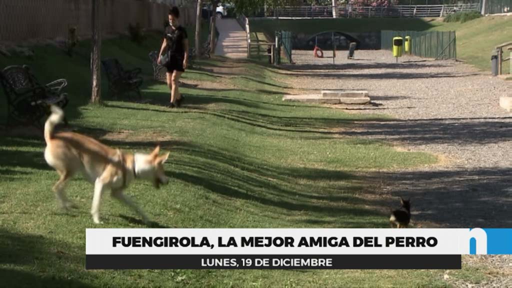 Lee más sobre el artículo Fuengirola, elegida mejor destino turístico para viajar con mascotas