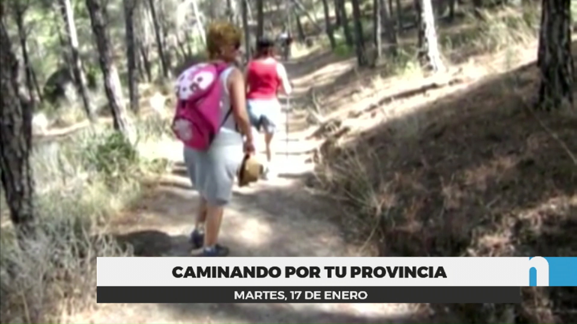 Lee más sobre el artículo Caminando por tu provincia