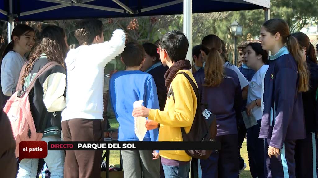 Lee más sobre el artículo Día internacional de la educacion ambiental