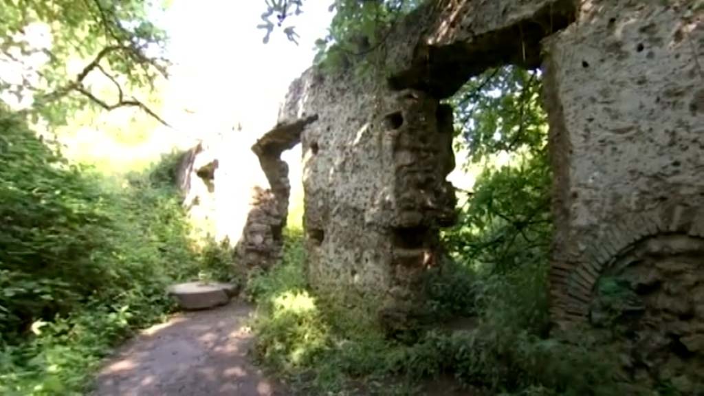 Lee más sobre el artículo Viaje a El Bosque para mayores el 14 y 15 de marzo