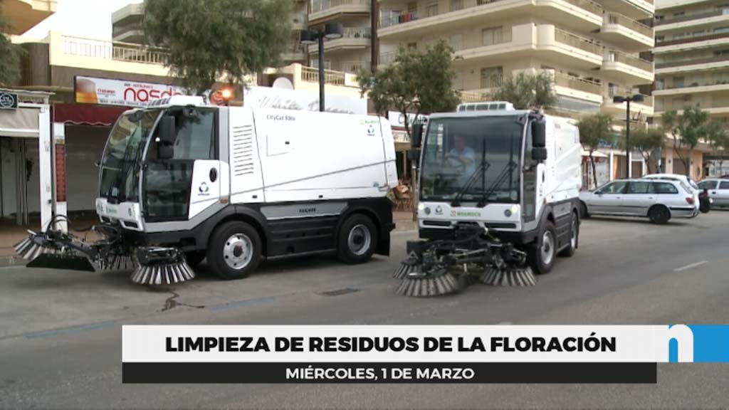 Lee más sobre el artículo Refuerzan la limpieza de la floración en la vía pública