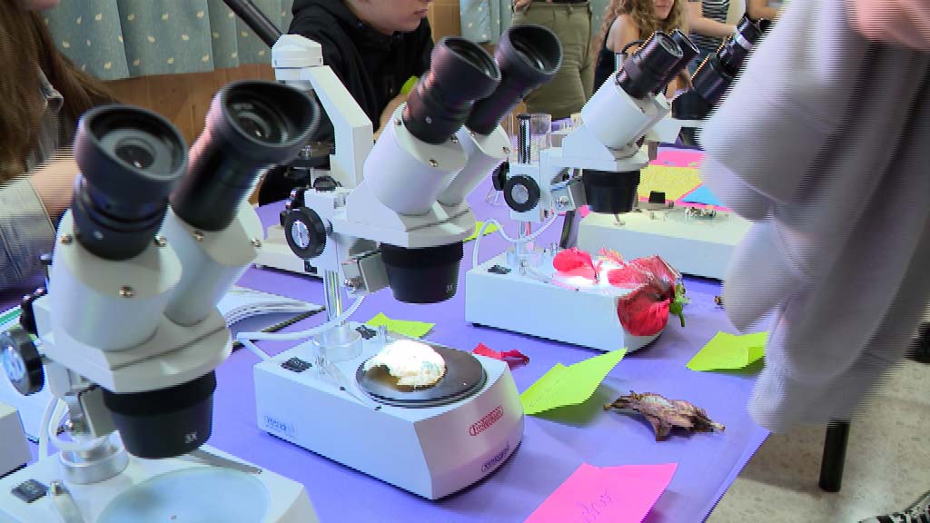 Lee más sobre el artículo IV Exposición de Geología y Biología en el IES Los Boliches