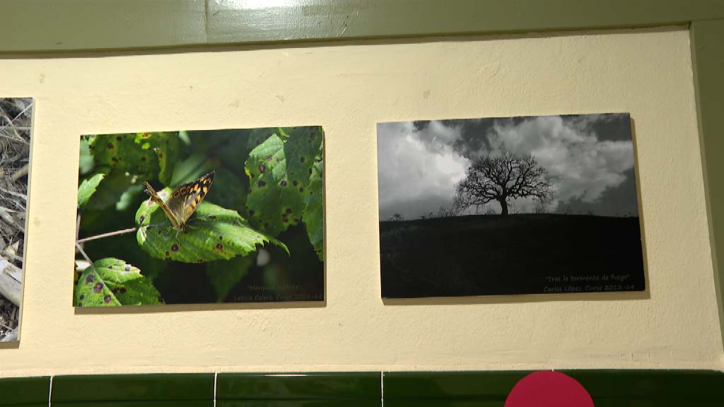 Lee más sobre el artículo Concurso de Fotografía en el IES Ramón y Cajal