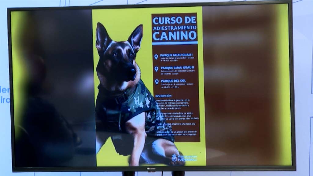 Lee más sobre el artículo Clases gratuitas de adiestramiento canino en septiembre y octubre: inscripción y parques