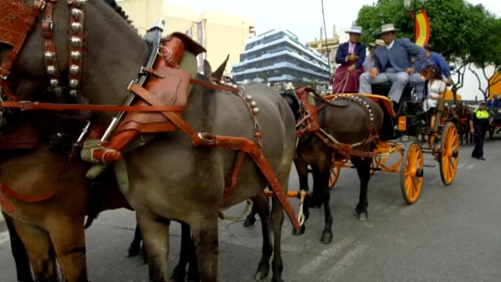 Lee más sobre el artículo La Exhibición de Enganches de ‘Fuengirola A Caballo’ contará con 25 carruajes