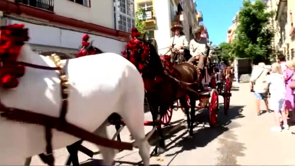 Lee más sobre el artículo ‘Fuengirola a Caballo’ se celebra mañana sábado en el centro de la ciudad