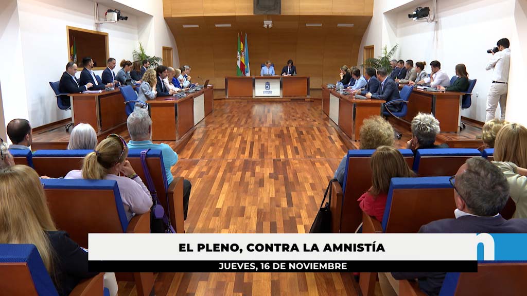 Lee más sobre el artículo Rechazo del Pleno Municipal a la Ley de Amnistía del PSOE