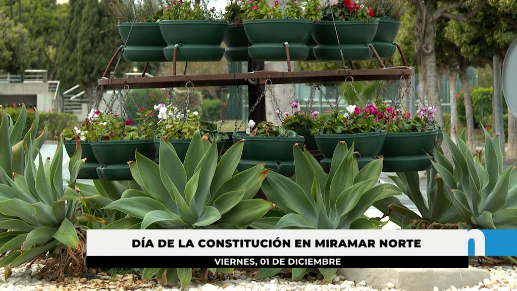 El barrio de Miramar acogerá el Día de la Constitución