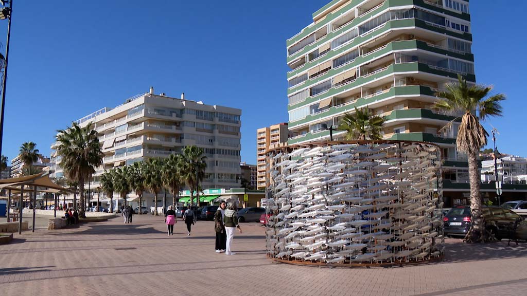 Lee más sobre el artículo Un banco de boquerones en pleno Paseo Marítimo