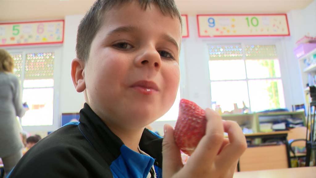 Lee más sobre el artículo El Colegio Valdelecrín realiza una campaña de consumo de fruta entre sus escolares