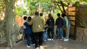 Alrededor de un centenar de mayores y sus nietos visita gratis Bioparc Fuengirola