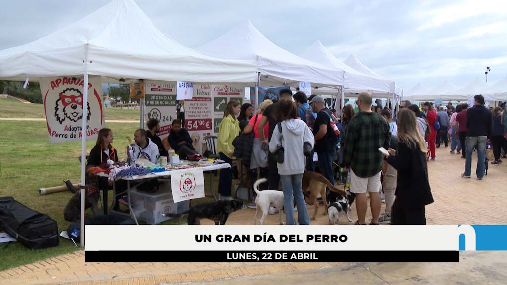 Lee más sobre el artículo Éxito de participación del Día del Perro