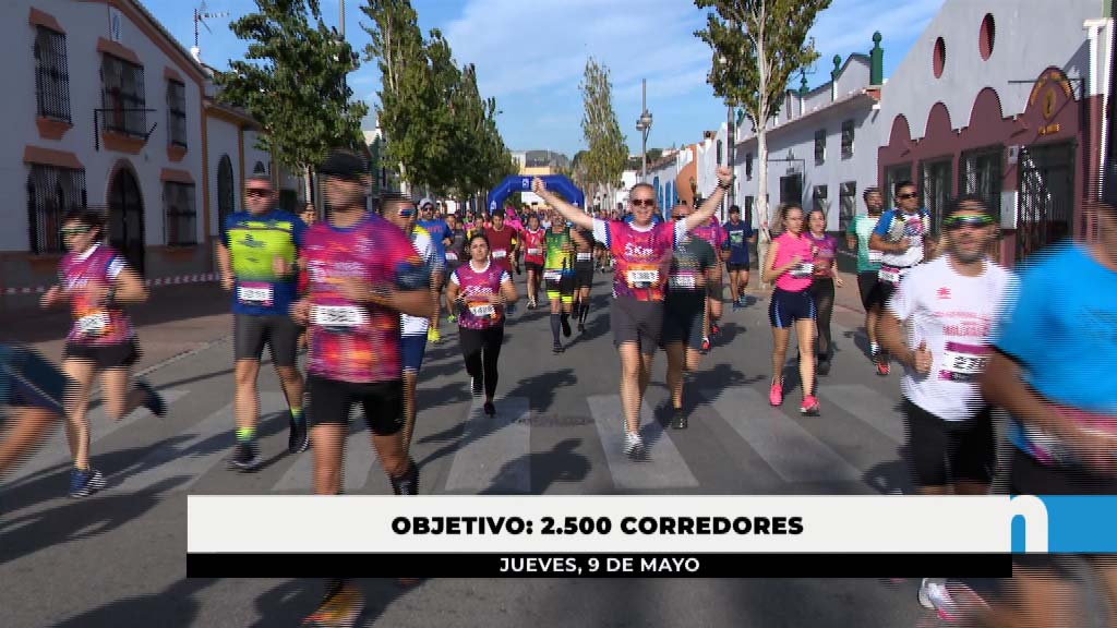 Lee más sobre el artículo Hasta 2.500 corredores participarán en noviembre en la Media Maratón