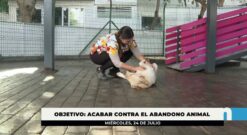 El Ayuntamiento recuerda que la adopción de mascotas es gratuita para empadronados