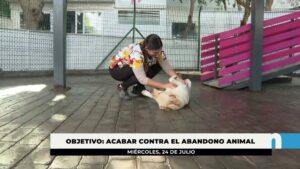 El Ayuntamiento recuerda que la adopción de mascotas es gratuita para empadronados