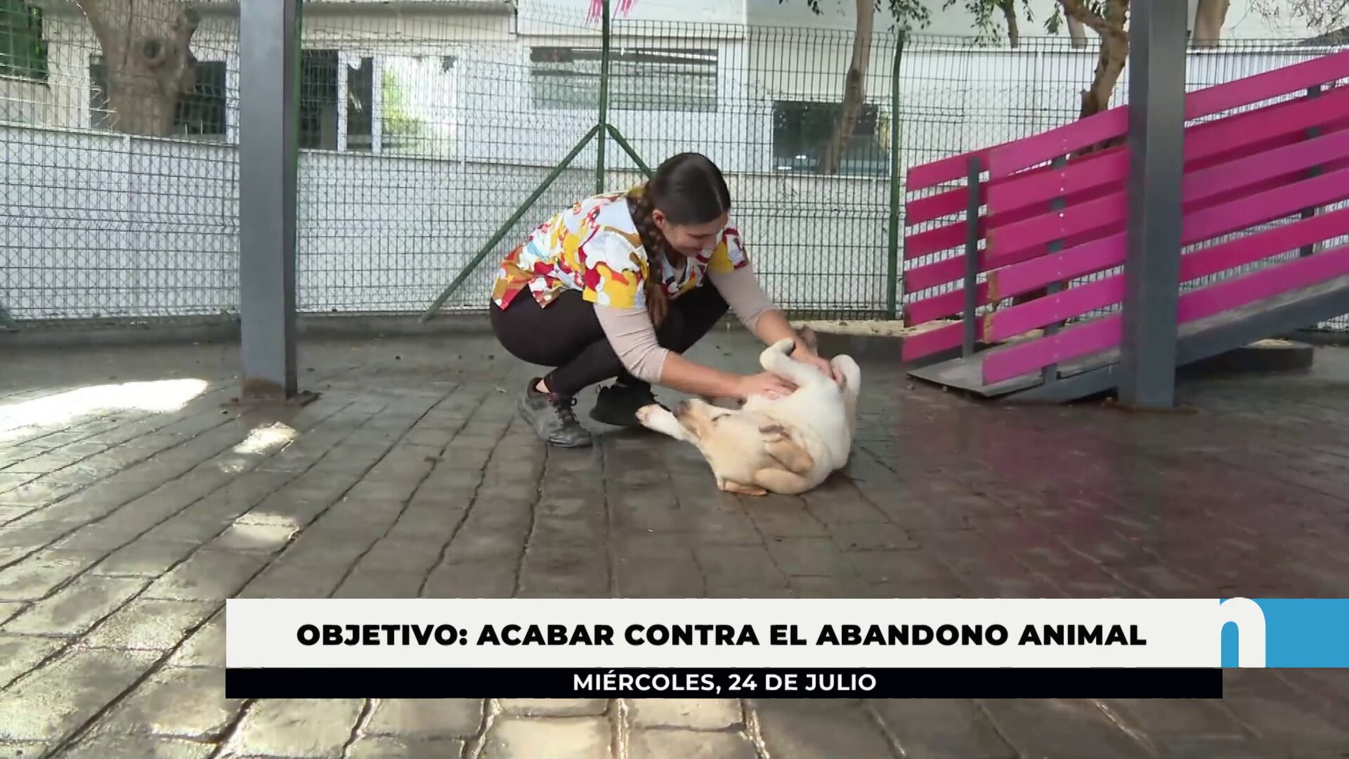 Lee más sobre el artículo El Ayuntamiento recuerda que la adopción de mascotas es gratuita para empadronados