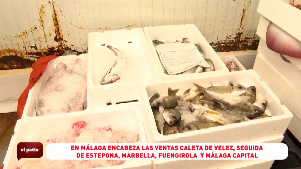 Lee más sobre el artículo Una visita a la lonja de Fuengirola