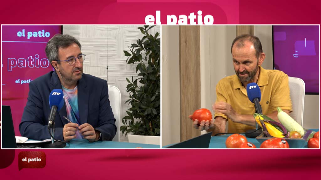 Lee más sobre el artículo En plena temporada del tomate huevo de toro