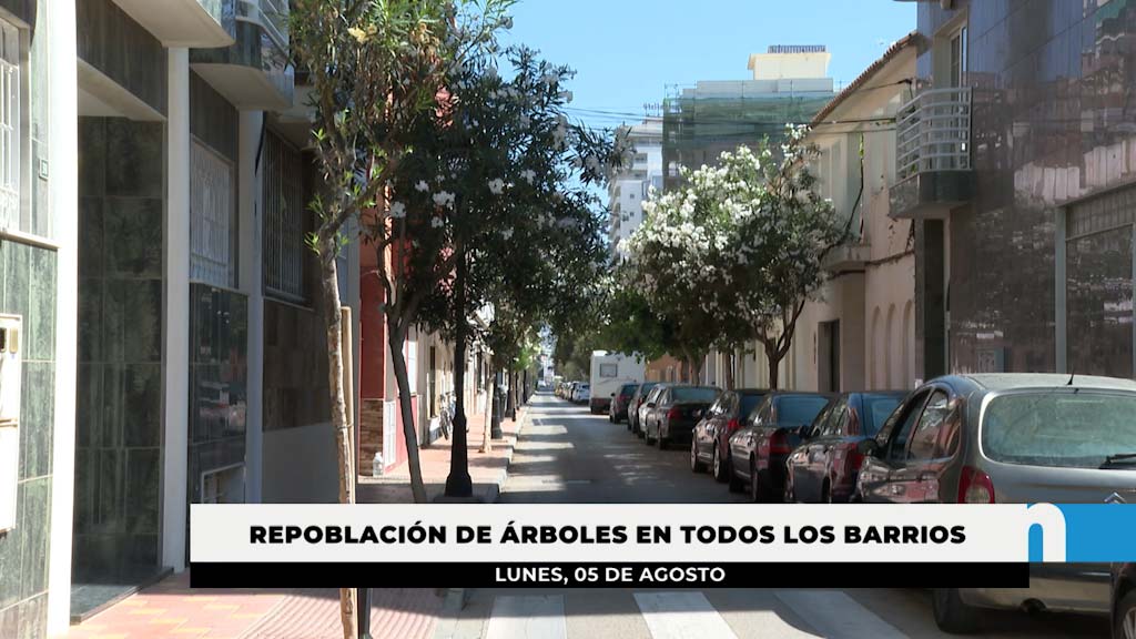 Lee más sobre el artículo Plan Municipal de Repoblación para incrementar la arboleda urbana