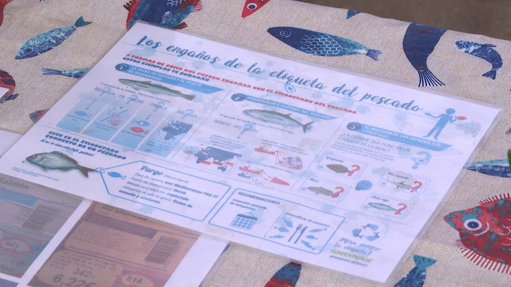 Lee más sobre el artículo Campaña de sensibilización contra la pesca y consumo de inmaduros