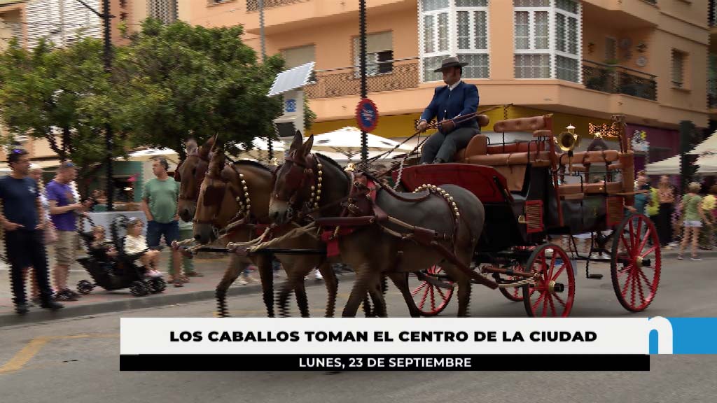 Lee más sobre el artículo Concurso de enganches, vestimenta y atalaje en el Día a Caballo