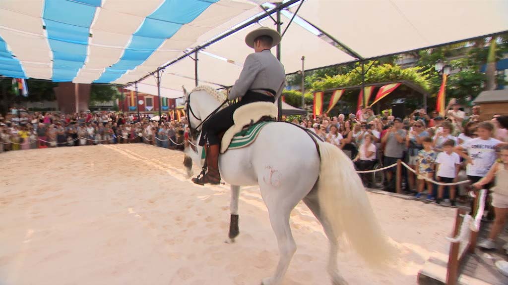 Lee más sobre el artículo Espectáculos ecuestres y actuaciones en el Día a Caballo