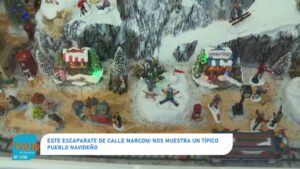 Paraíso invernal en miniatura