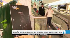 C.C. Miramar celebrará el 'Black Pet Day' para fomentar la adopción de mascotas de color negro